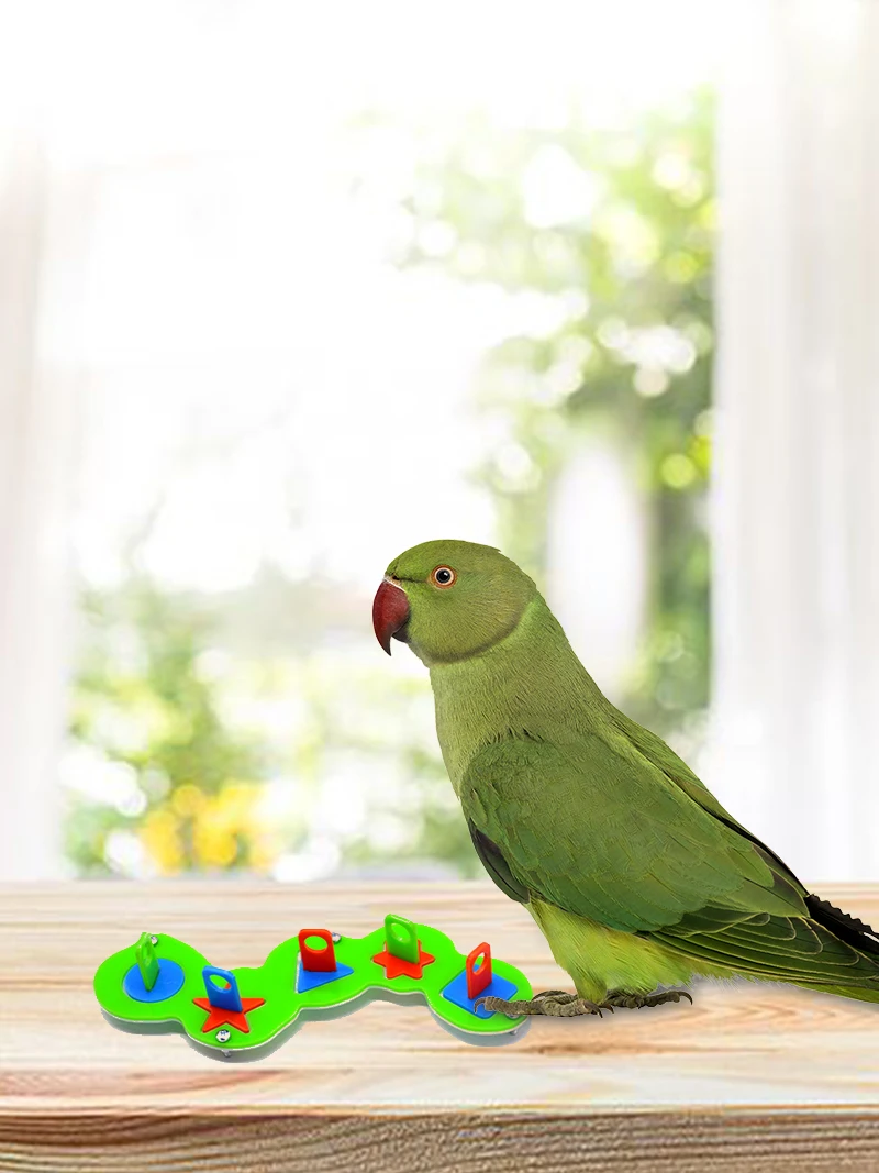 Papagali Jucării Și Pasăre Accesorii Pentru Animale De Companie Jucărie Leagăn Sta Budgie Cușcă Papagal Gri African Vogel Speelgoed Parkiet