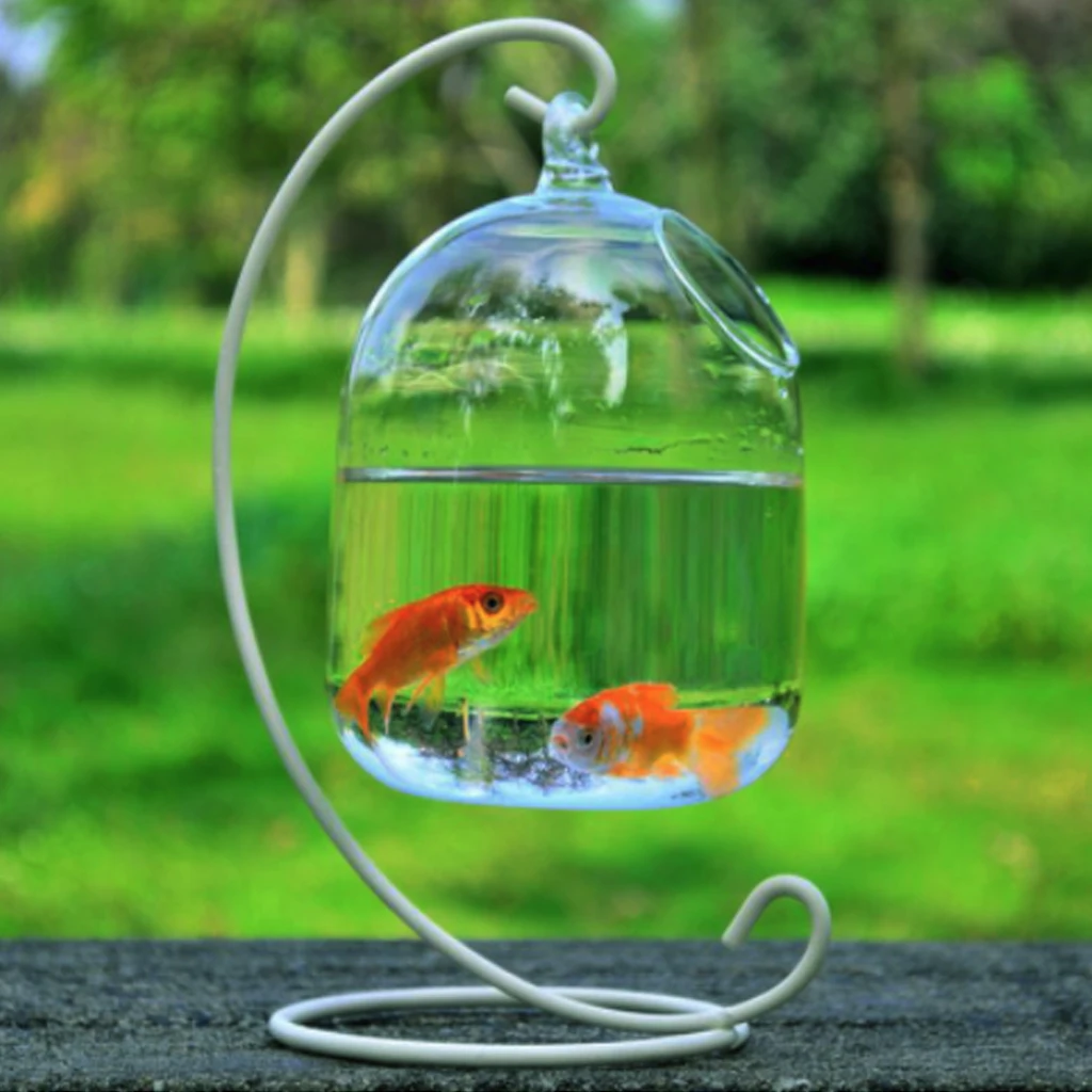 Clar Agățat De Sticlă Acvariu Bol De Pește Rezervor De Pește De Plante Flori Vaza Alb Rack Acvariile Recipient Decor Acasă Consumabile Pentru Animale De Companie