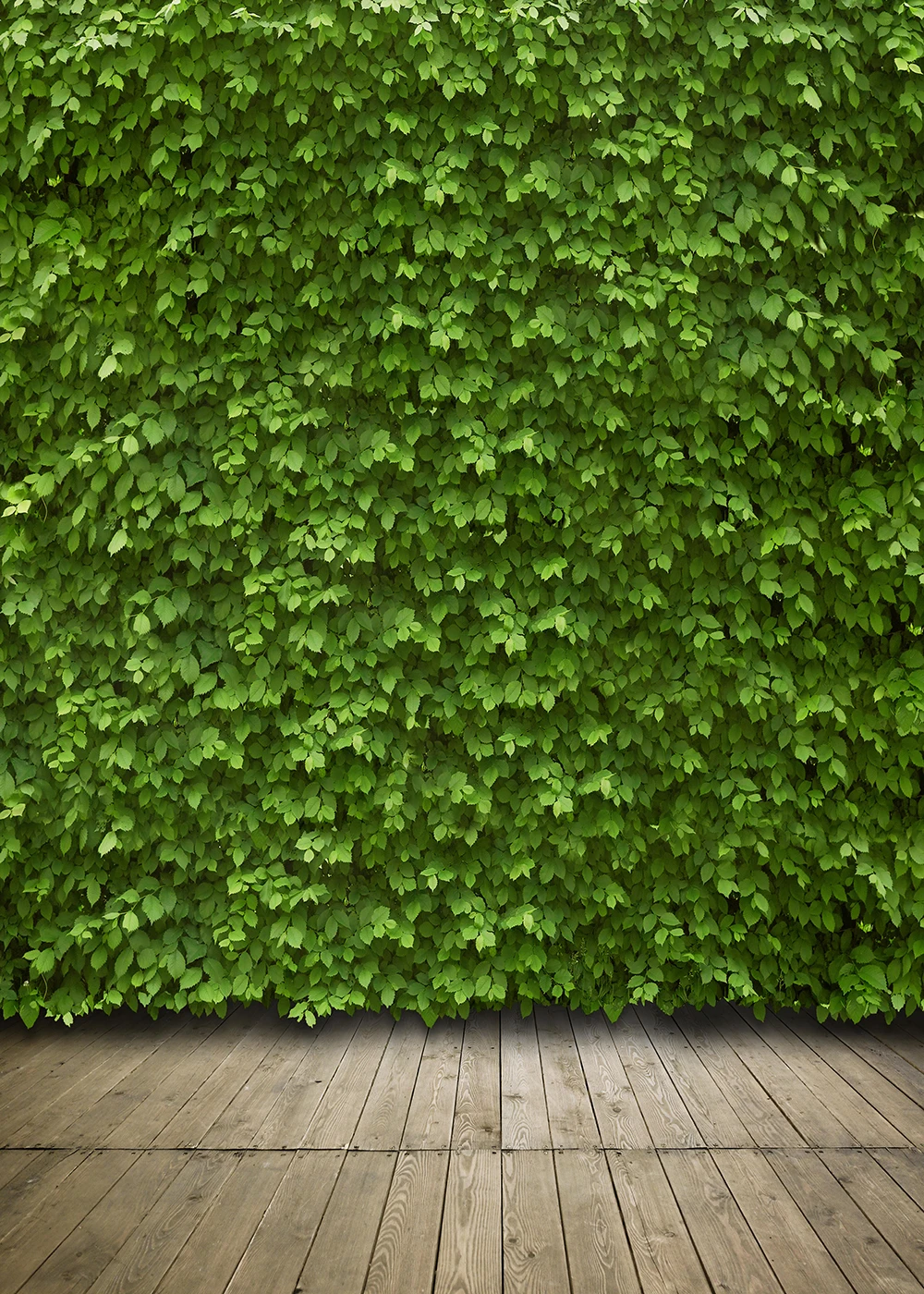 Lyavshi fotografie de fundal frunze verzi perete, podea din Lemn de gradina de primavara fondul photocall trage prop photophone photobooth