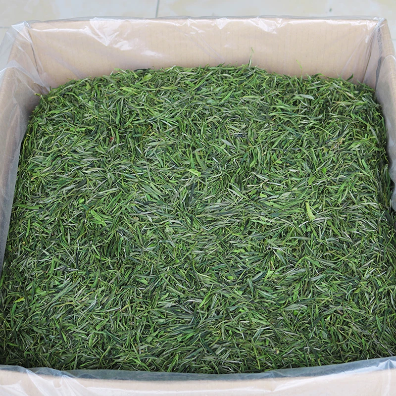 Huang Shan Mao Feng Verde NC Ceai de Înaltă Calitate Primăvara Devreme Organice Proaspete Maofeng Verde Chinezesc CN