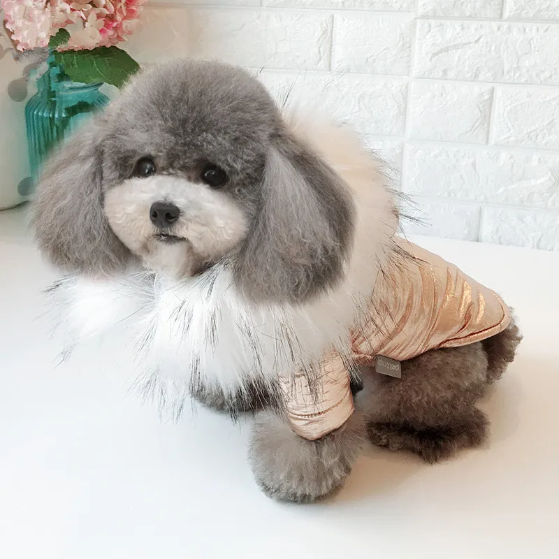 Câine haine de iarnă Canadiană două picioare de câine haine groase, haine de câine aur, argint culori super jachete calde pentru animale de companie câine s-xxl dimensiuni