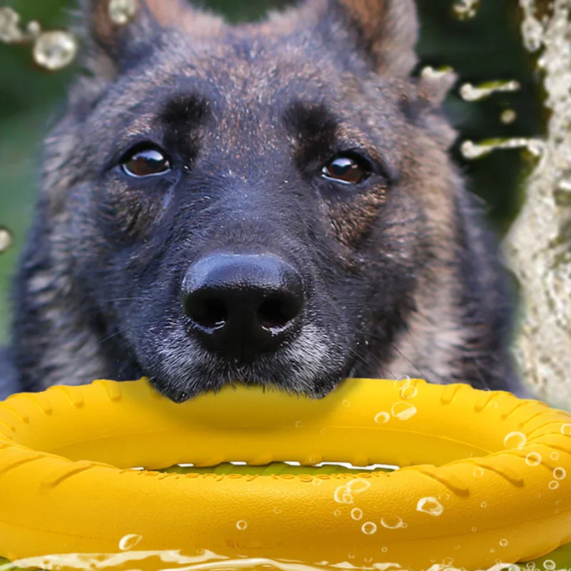 Companie de Zbor Discuri Jucării EVA Câine de Formare Inel Tragator Rezistent Musca Plutitoare Jucărie Cățeluș în aer liber Joc Interactiv Joc Jucărie de Aprovizionare