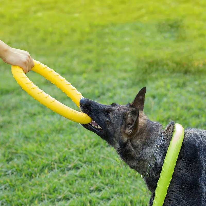 Companie de Zbor Discuri Jucării EVA Câine de Formare Inel Tragator Rezistent Musca Plutitoare Jucărie Cățeluș în aer liber Joc Interactiv Joc Jucărie de Aprovizionare