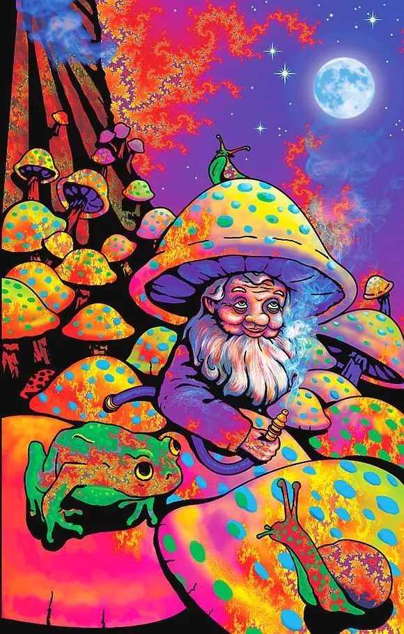 Psihedelice Regele Ciuperci Magice Trippy Groovy Hippy Mătase Poster Autocolant De Perete Decor Cadou