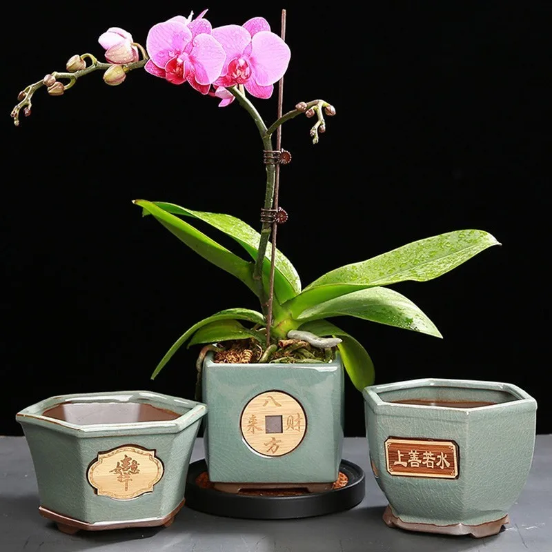 Creative Ceramice de epocă Ghiveci Simplu Planta Suculenta Container Verde Plantat Bonsai Vase Ghiveci Decor Acasă
