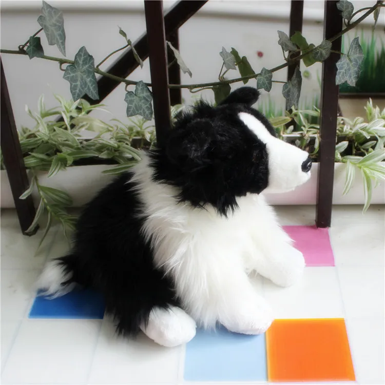 Jucărie nouă simulare Border collie, câine jucărie de pluș 30cm papusa moale jucărie pentru copii decorare cadou de ziua h1200