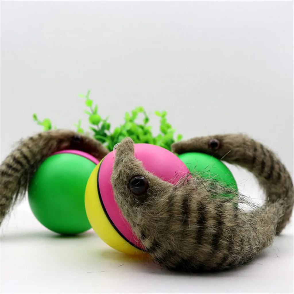 2020 Animale De Companie Pisică Câine Jucării Electrice Castor Nevăstuică Jucărie Salt De Rulare Mingea Jucării Pentru Pisica Câine Cățeluș Amuzant Interactive Jucărie Animal De Casă Supplies