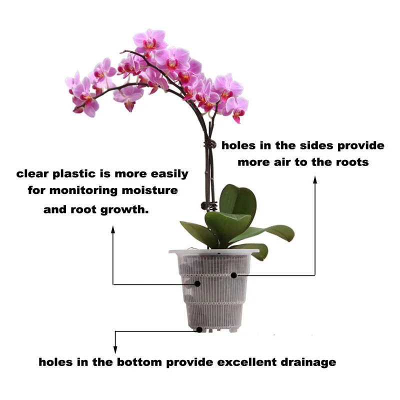 20 buc /lot Meshpot 10cm de Plastic Clar Orhidee, Cactus Vase Suculente Ghiveci Cu Gauri de Aer Tăiere Funcția Rădăcină de Creștere Sloturi