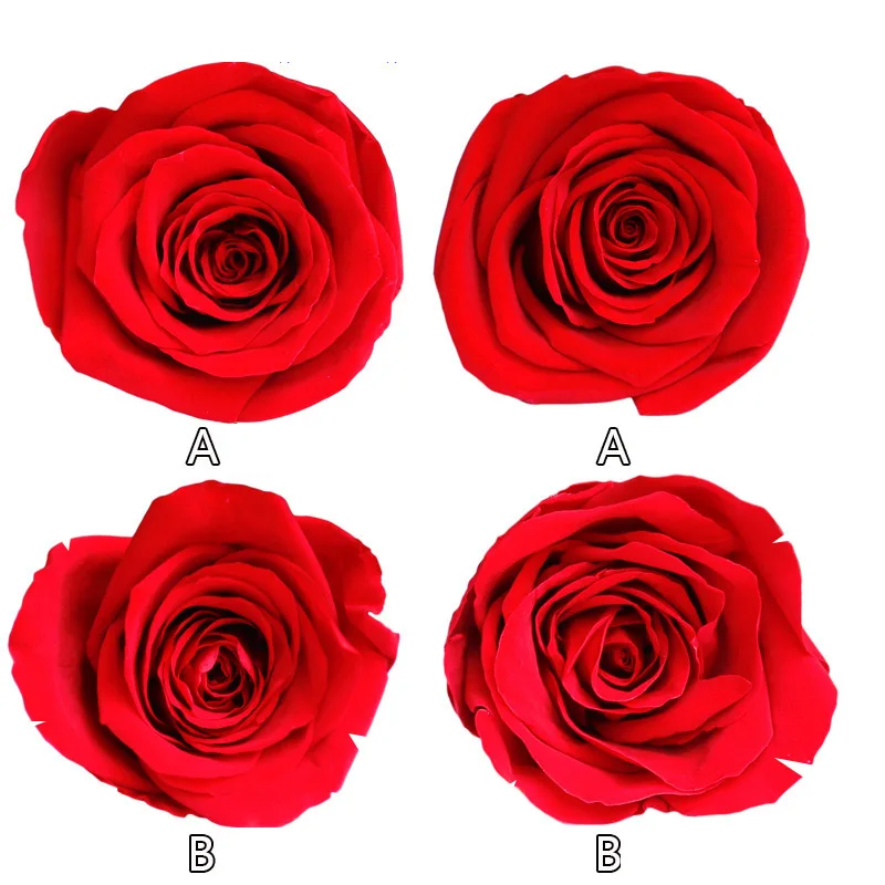 Conservate Rose Flori Nemuritoare a Crescut cu 4-5CM Diametru Mamele Zi DIY Nunta Viața Veșnică Floare Cadou Material 8pcs/Cutie Nivel B