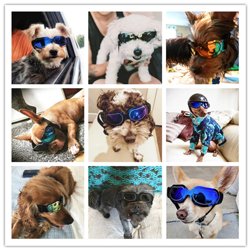 Colorat Câine Ochelari De Soare Reglabil Vânt Rece De Design De Moda, Animale De Companie Pisică Câine Ochelari De Soare Mari De Animale De Companie Poartă
