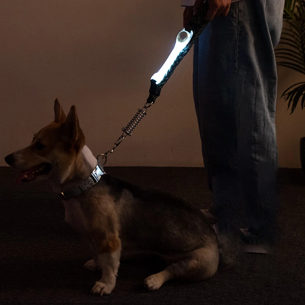 Strălucind în aer liber de Mers pe jos Lesa Accesorii LED Intermitent Luminos Consumabile pentru animale de Companie Multifunctional Pisica Noaptea de Siguranță Câine Guler Lumina