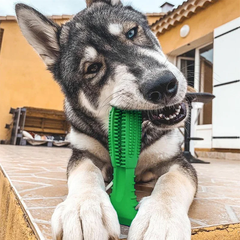 Câine Jucării Interactive De Cauciuc, Jucării Pentru Animale De Companie Mesteca Muscatura De Curățare Câine Perie De Dinti Pentru Catelus Mic Câine Mare Furnizor De Accesorii Dropship