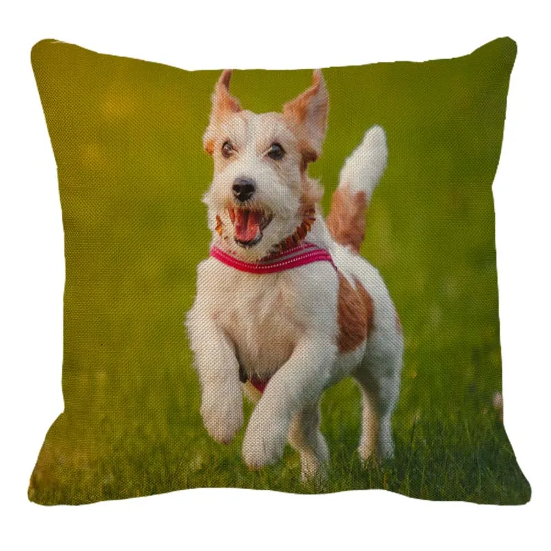 XUNYU Drăguț Jack Russell Terrier Model de Lenjerie de Pernă Canapea Acasă Pătrat Pernă Acoperă Câine față de Pernă 45X45cm AC108