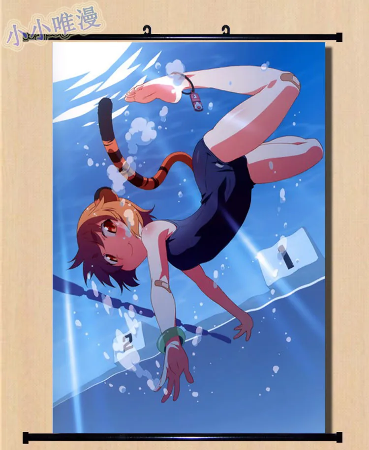 Japoneză Imagini Decorative Anime Gratuit! - Iwatobi Clubul De Înot Haruka Nanase & Makoto Tachibana De Perete Decor Acasă Scroll Poster