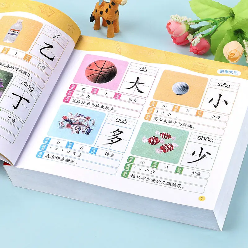 Clasa Chinez Să Învețe Caractere Cărți Uita-Te La Poza De Alfabetizare Imagini Iluminare De Educație Timpurie Carte Carte