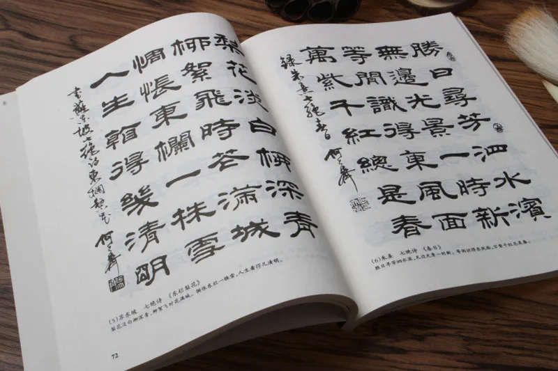 Perie chineză Scriere, Caligrafie Carte Shu Fa 