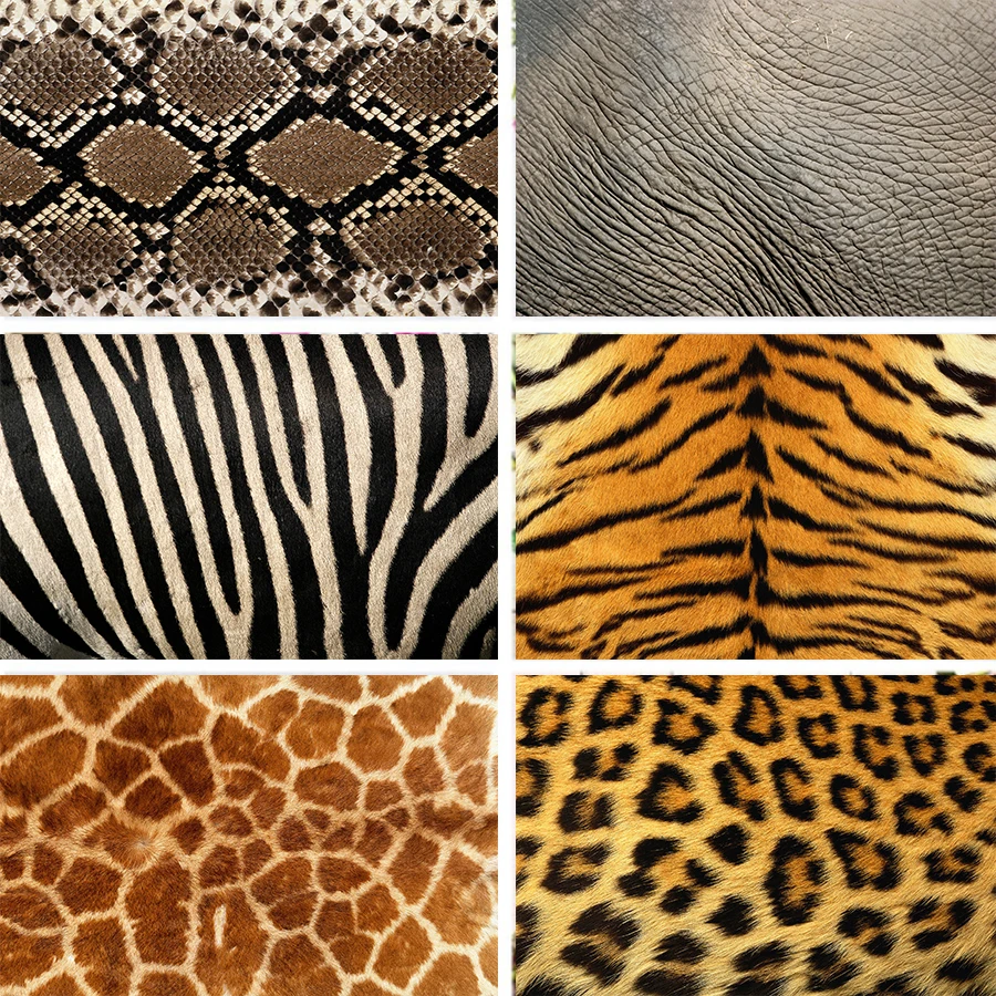 Nitree Leopard, Tigru, Elefant, Șarpe Zebra, Girafa Piele Model Textura Fundal Studio Foto Recuzită Fotografie De Fundal De Vinil