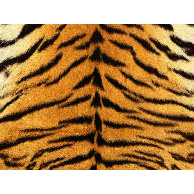 Nitree Leopard, Tigru, Elefant, Șarpe Zebra, Girafa Piele Model Textura Fundal Studio Foto Recuzită Fotografie De Fundal De Vinil