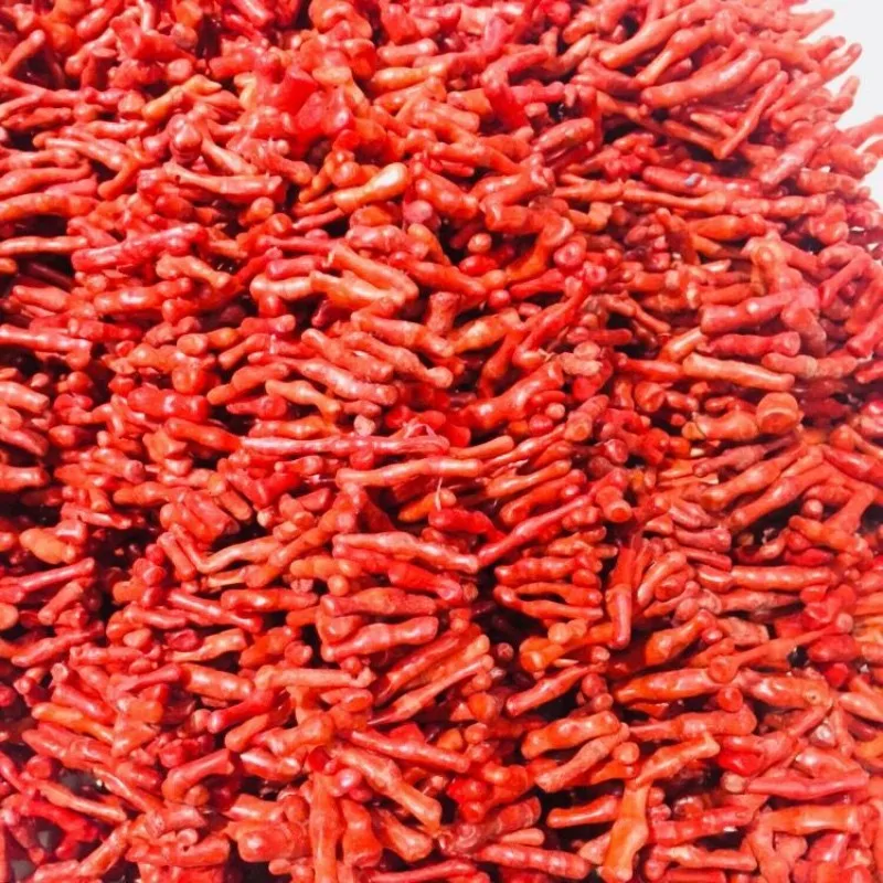 JYX Personalizate colier Neregulate Roșu Coral Margele Vrac Șir Strandswith o incuietoare 40cm