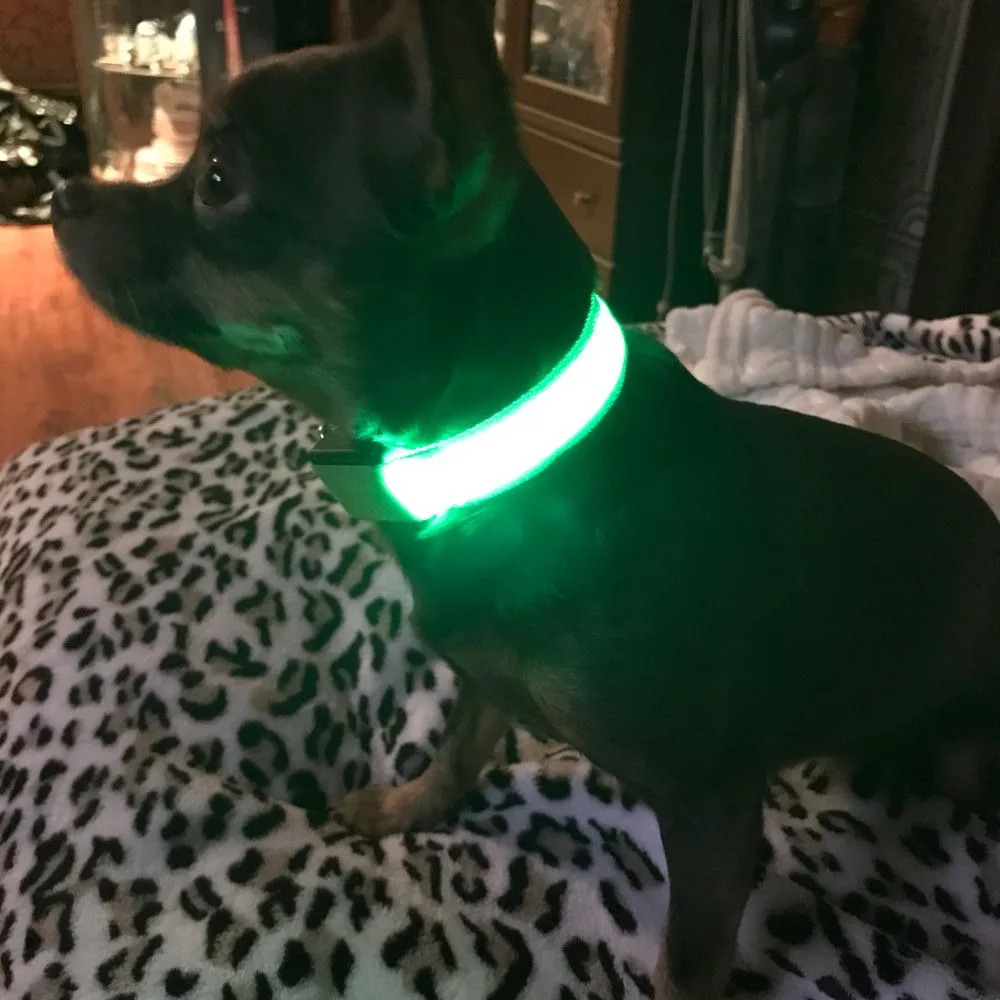 LED-uri de animale de Companie Câine Guler Honden Halsband Alimentat de la Baterie sau USB Reîncărcabilă Lesa Câine Luminou Fluorescente Guler Perro Intermitent A02