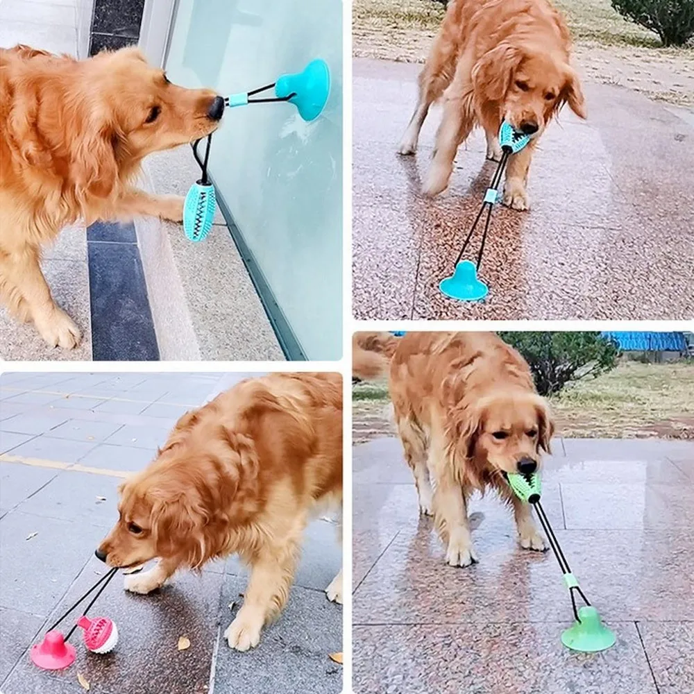 2020 Nou Jucării pentru animale de Companie ventuza Câinele Împinge Jucărie TPR Mingea Pet de Curățare Dinte de Mestecat IQ Trata Câine Jucării pentru Câini de talie Mică de Cauciuc Auto-playing