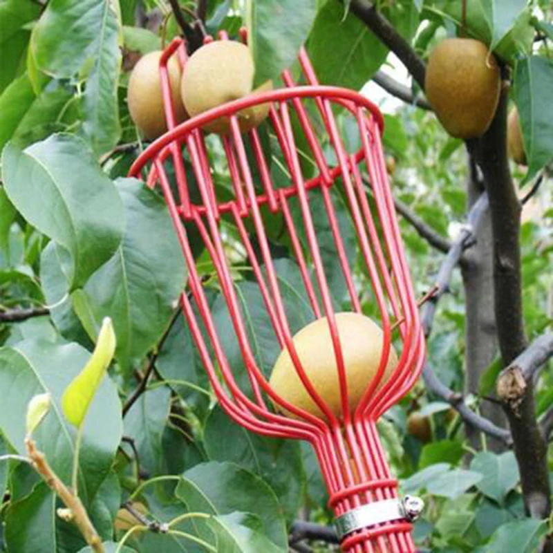Unelte De Gradina Culegător De Fructe De Grădinărit Fructe De Colectare A Cules Capul Instrument De Fructe Catcher Dispozitiv Cu Efect De Seră Culegător De Fructe