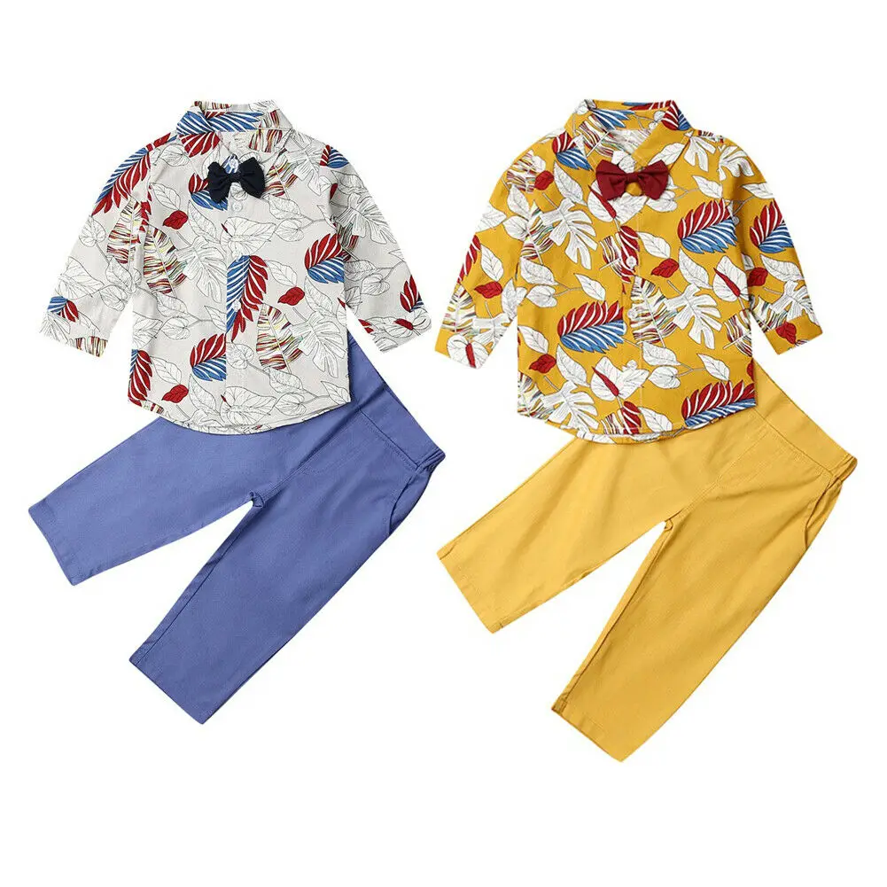 Băiețelul Costum Casual Copii cu Maneca Lunga Tricou Floral+plain Pantaloni Lungi de Primavara Toamna Haine Casual Set Haine 2-7 Ani