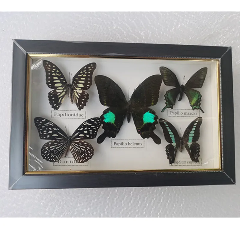 1 set de 5 buc rafinat fluture specimen rama foto ambarcațiuni cadou home decor decor decor acasă