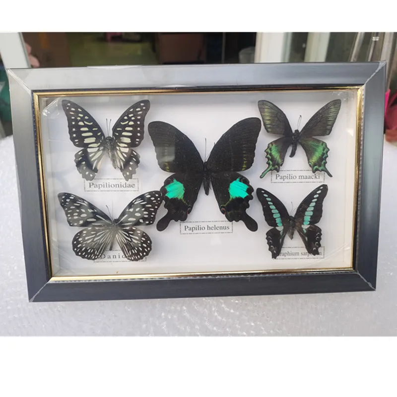 1 set de 5 buc rafinat fluture specimen rama foto ambarcațiuni cadou home decor decor decor acasă