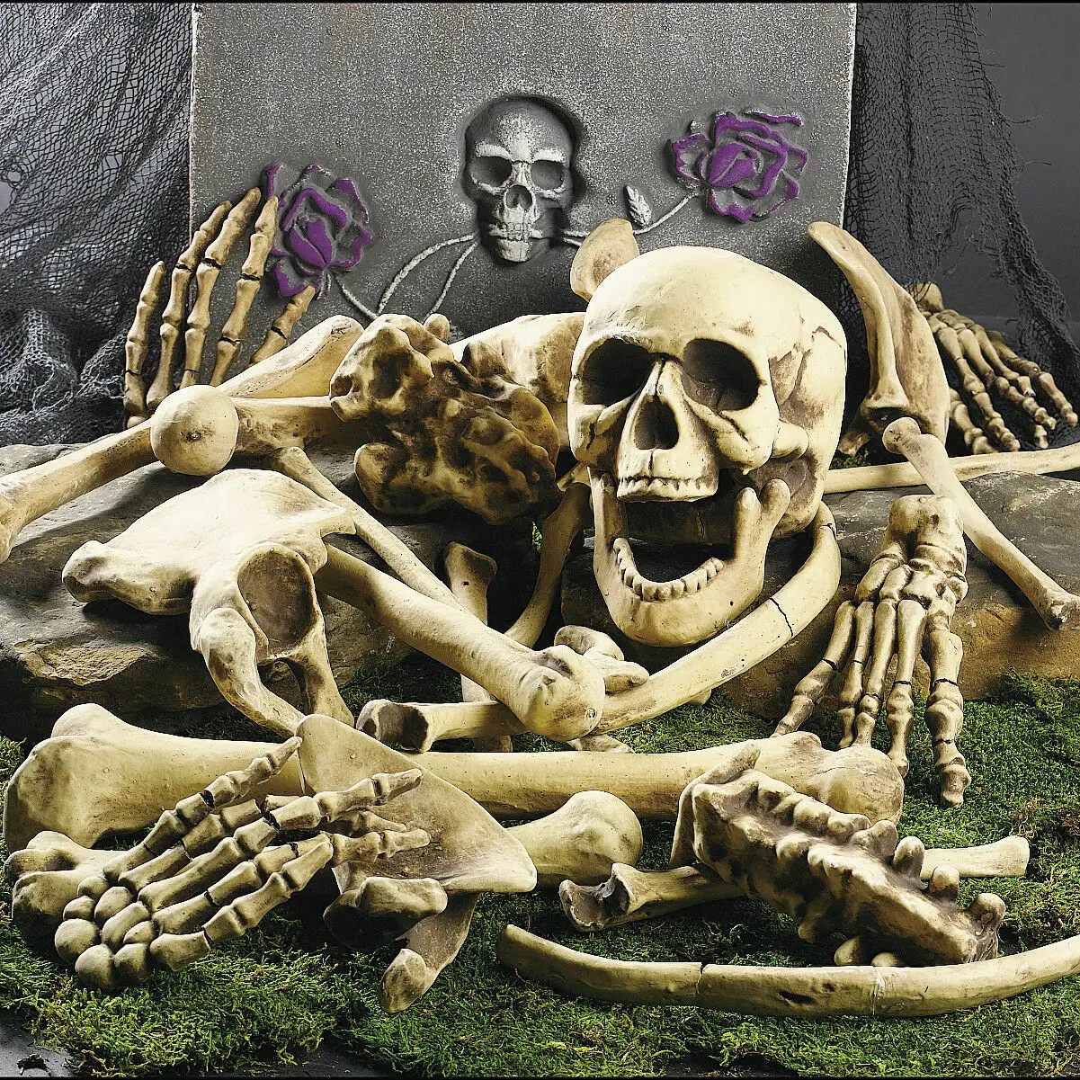 27 buc/set Halloween Schelet de Oase Complicat Casa Bantuita de Groază Scheletul Craniului Prop Petrecere Decoratiuni