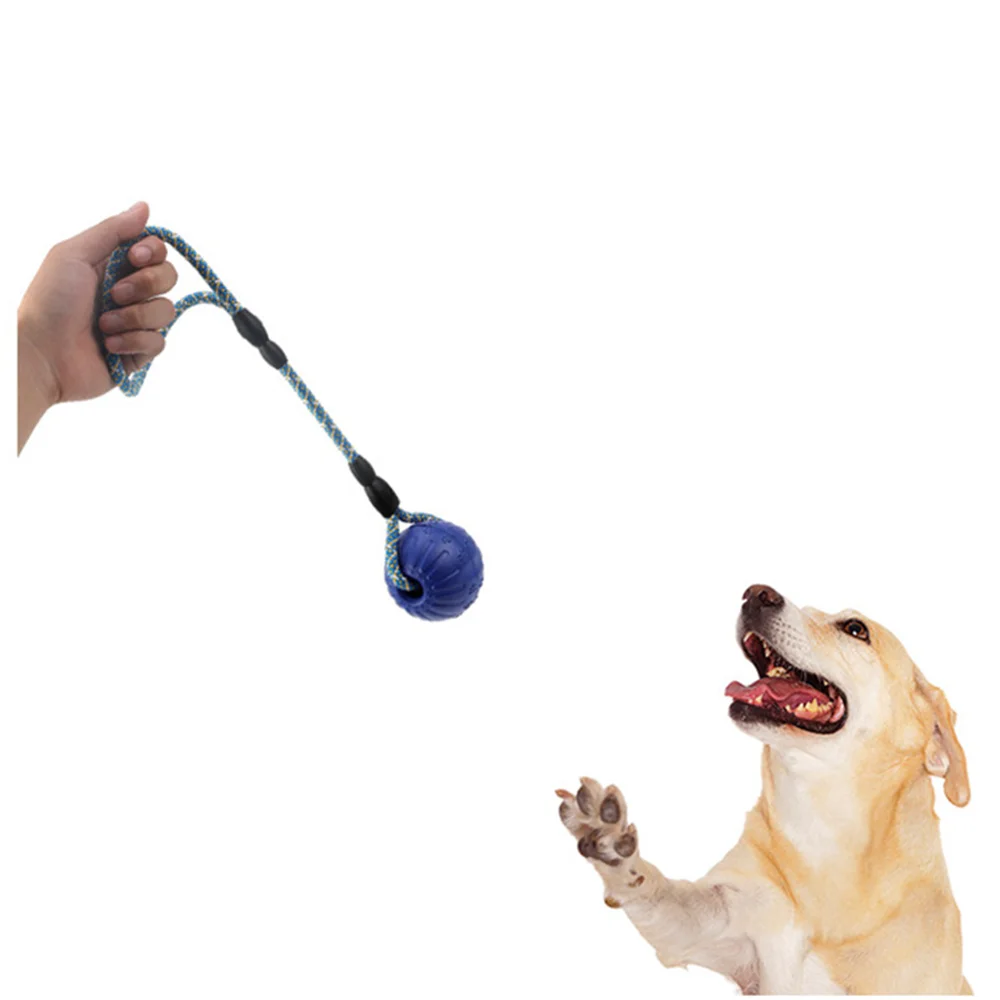 Animale De Companie Molar Musca Jucării Câine De Cauciuc Mesteca Bile De Curățare Dinți Catelus Musca Jucărie În Aer Liber Traning Distractiv Joc De Minge Jucărie Pentru Pisică Câine