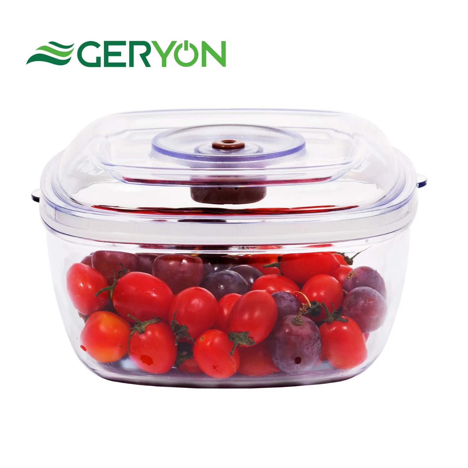 GERYON Pătrat Sigiliu Vid Container pentru Depozitarea Alimentelor în Vid Sealer Mașină cu Furtun de Vacuum pentru Alimente Economizor de Mari dimensiuni (2 LITRI)