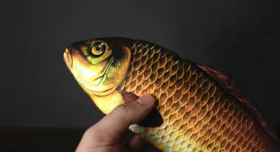 28cm Apar Pește Trucuri de Magie de Scenă Magia Pește care Apar De la Caz Carte de Magie Mentalism Iluzie Pusti de Recuzită 2018 FISM