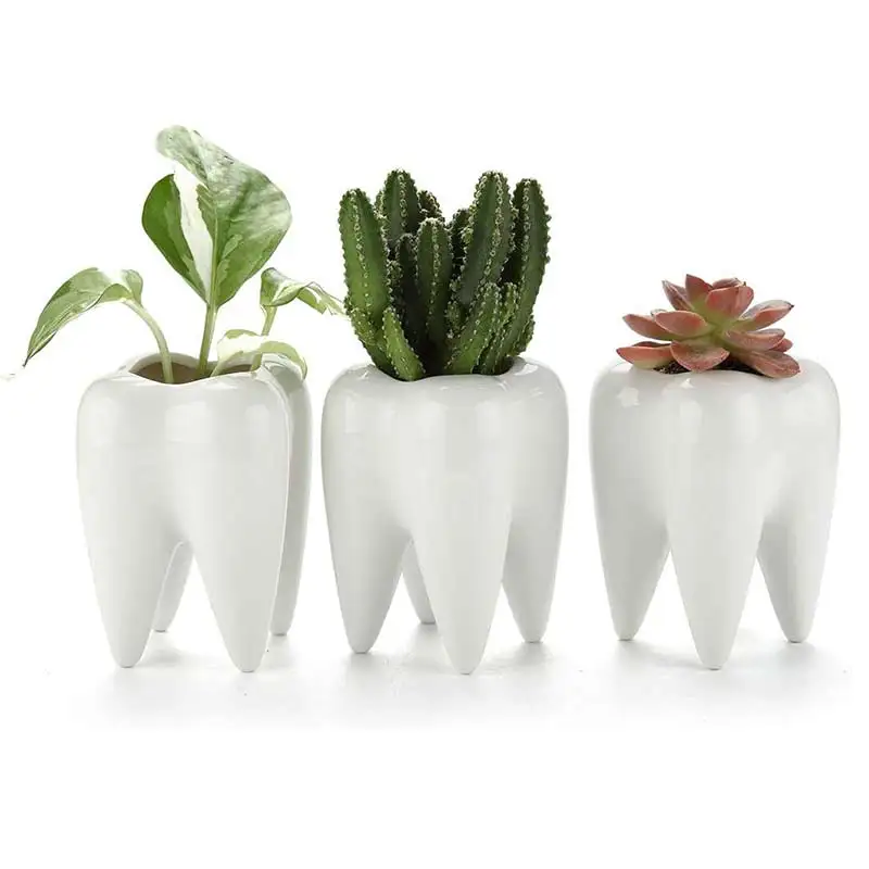 Creative Dinte De Plantat Suculente Vase Ceramice Suculente Ghiveci Suport De Creion Office Home Decor Cactus Mini Vaza De Flori Albe