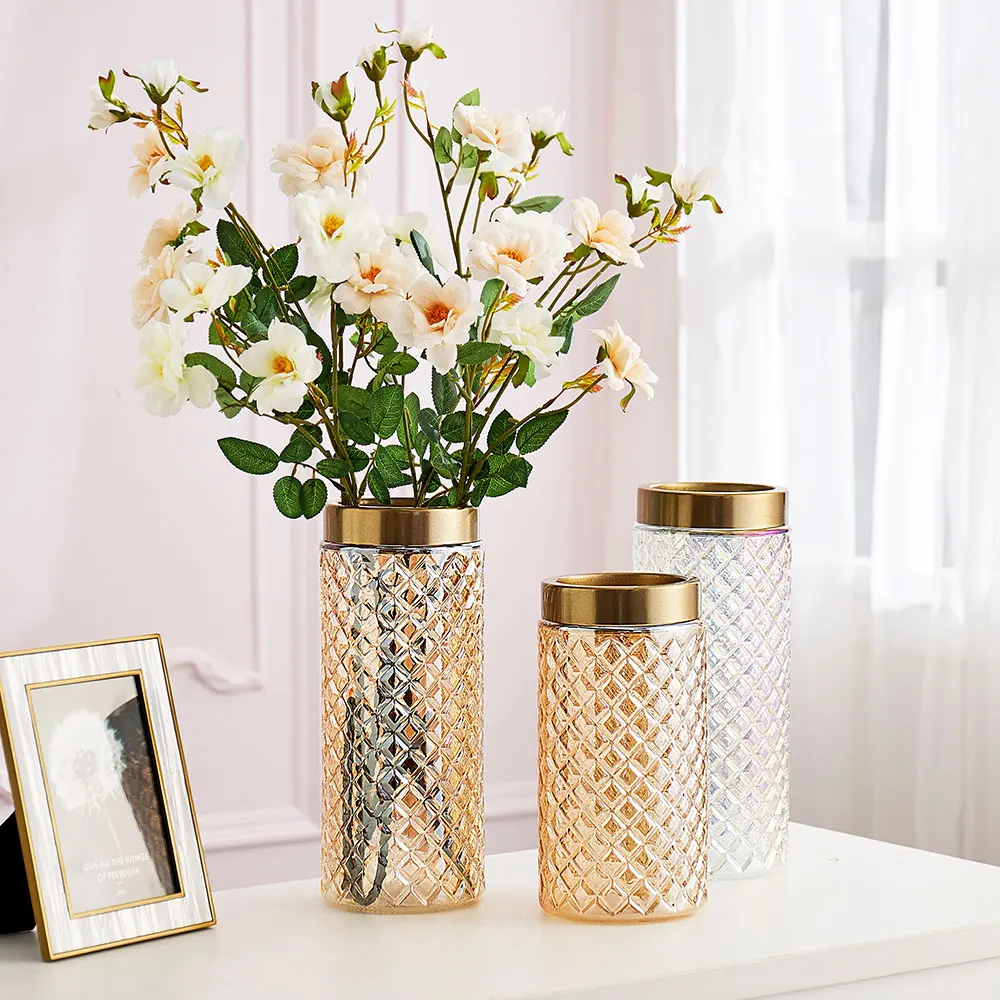 Nordic Vaza de Sticla Aurit cu margini Colorate Concav Convex Vaza Acasă Decorare Camera de zi de Nunta Vaze pentru Aranjamente florale