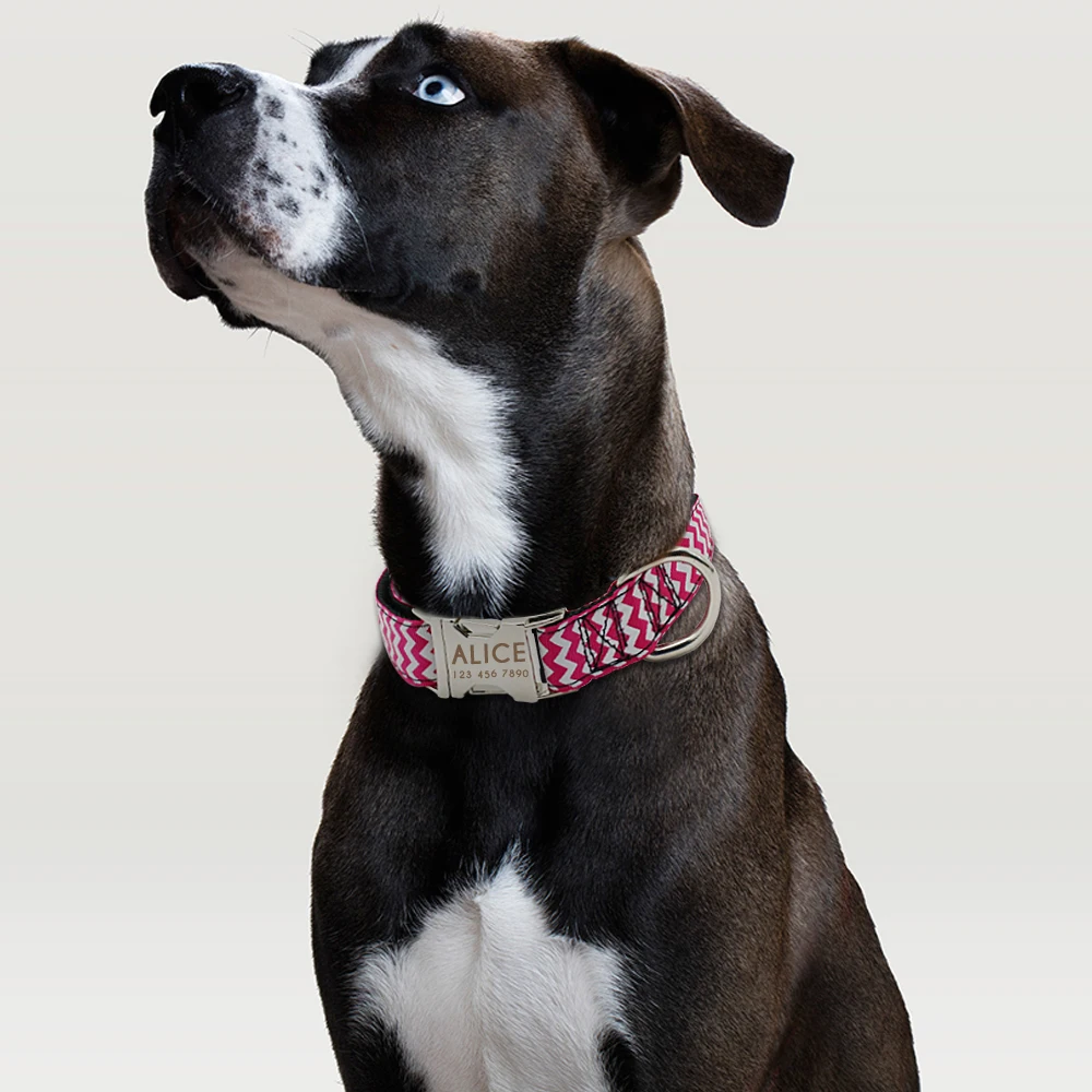 Nailon Guler de Câine Personazlied Personalizate Câine ID Tag Guler Gratuit Gravare de Numele Și Numărul de Telefon pentru Mediu Pentru Câini de talie Mare