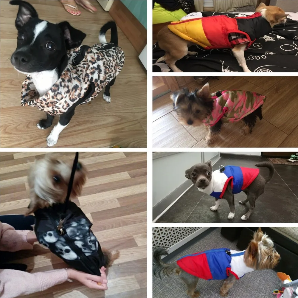 Cald Îmbrăcăminte pentru animale de Companie pentru Haine de Câine Pentru Câini Mici Haina Sacou Costum Catelus de Companie Haine Pentru Câini Costum Vesta Îmbrăcăminte Chihuahua